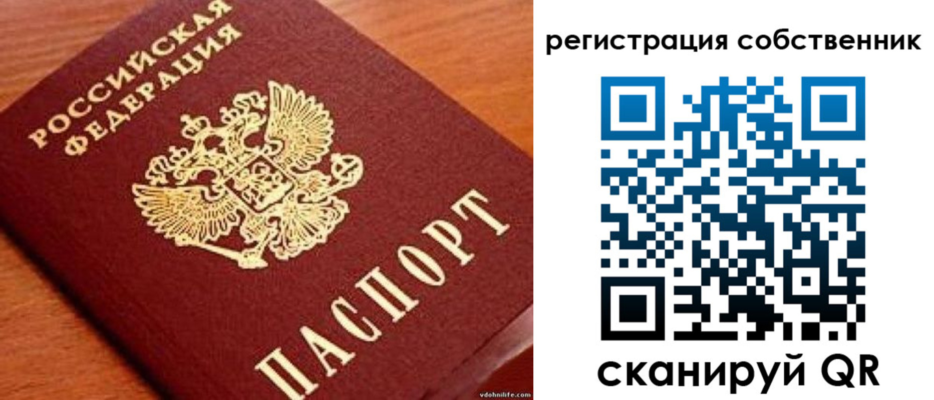 прописка поиск в Хабаровске